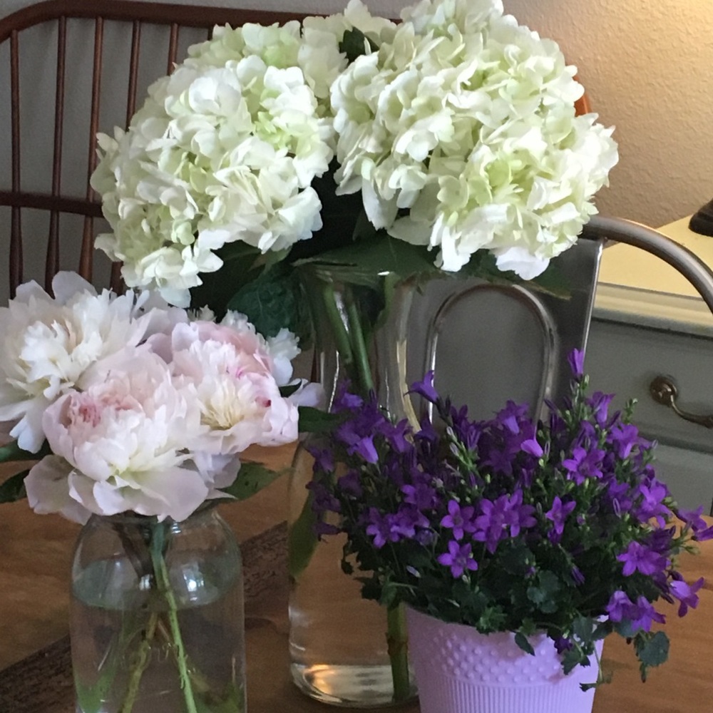 Meet your Posher, Tricia